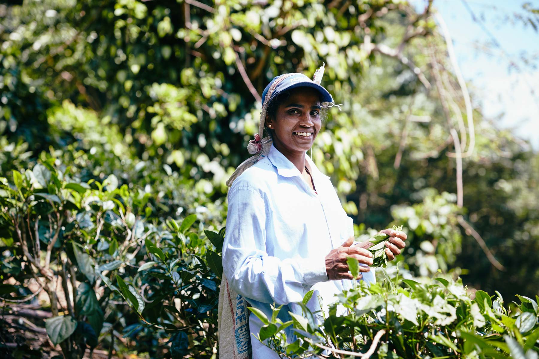 Portrait einer Teepflückerin nahe Ella/ Sri Lanka, 2018