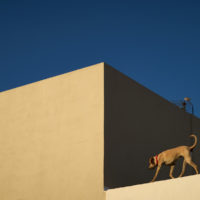 Nr. 05/ On broadcast, 2016/ El Cotillo/ Fuerteventura/ Spanien